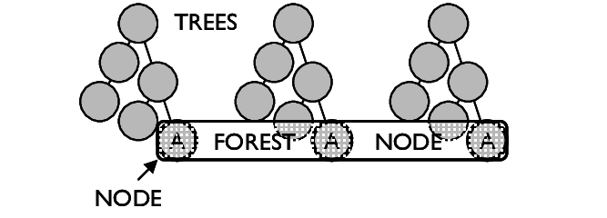A-Forest-is-composed-of-multiple-trees-Forest-Nodes-span-multiple-trees-to-include-a-set